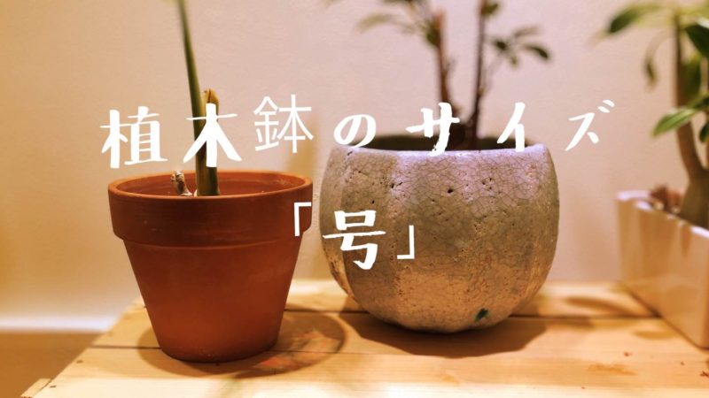 保存版 植木鉢のサイズ 号数 って何ｃｍ 大きさを知る 東京やまびこ植物園